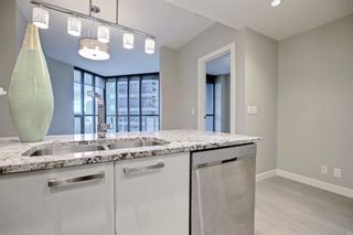 Photo 11: 509 225 11 Avenue SE in Calgary: Beltline Apartment for sale : MLS®# A1165469