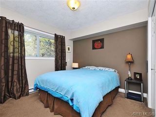 Photo 15: 464 W Viaduct Ave in VICTORIA: SW Prospect Lake House for sale (Saanich West)  : MLS®# 634992