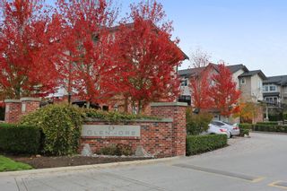 Photo 26: 206 2450 161A Street in Surrey: Grandview Surrey Townhouse for sale in "GLENMORE" (South Surrey White Rock)  : MLS®# R2234586