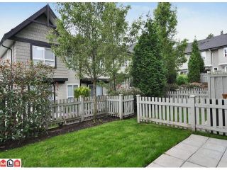 Photo 9: 105 6747 203RD Street in Langley: Willoughby Heights Townhouse for sale in "SAGEBROOK" : MLS®# F1116766