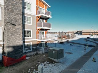 Photo 38: 7216 302 Skyview Ranch Drive NE in Calgary: Skyview Ranch Apartment for sale : MLS®# A2021326