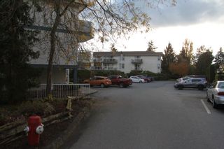 Photo 19: 214 27358 32 Avenue in Langley: Aldergrove Langley Condo for sale in "Willow Creek Estates" : MLS®# R2516361