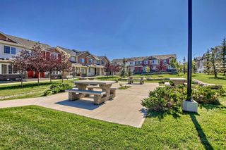 Photo 42: 246 Pantego Lane NW in Calgary: Panorama Hills Row/Townhouse for sale : MLS®# A2079195