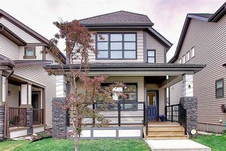 Photo 5: 8 COPPERPOND Avenue SE in Calgary: Copperfield Detached for sale : MLS®# C4296970