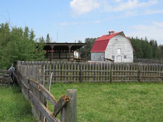 Photo 38: 271032 TWP RD 431: Rural Ponoka County Agriculture for sale : MLS®# A2004785