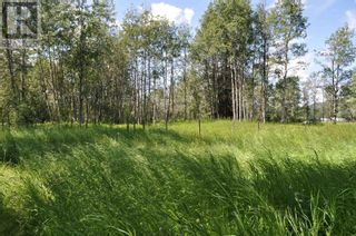 Photo 28: BOURGON ROAD in Smithers: Vacant Land for sale : MLS®# R2700048