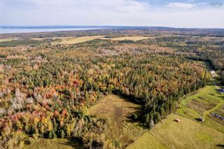 Photo 14: Lot Gospel Road in Glenmont: Kings County Vacant Land for sale (Annapolis Valley)  : MLS®# 202311248