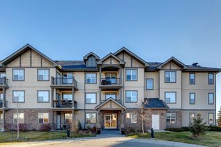 Main Photo: 109 25 Prestwick Drive SE in Calgary: McKenzie Towne Apartment for sale : MLS®# A2095612