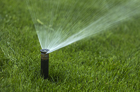 Avoiding Waste When Watering Your Lawn