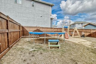 Photo 38: 204 Sandpiper Boulevard: Chestermere Detached for sale : MLS®# A2039534