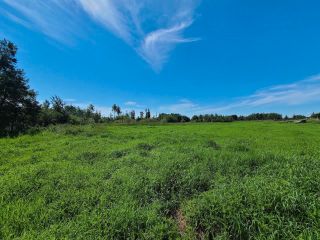 Photo 11: LOT 1 ASH Avenue in Fort St. John: Fort St. John - Rural W 100th Land for sale in "GRANDHAVEN" : MLS®# R2748706
