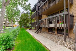 Photo 23: 7 3519 49 Street NW in Calgary: Varsity Apartment for sale : MLS®# A2057725