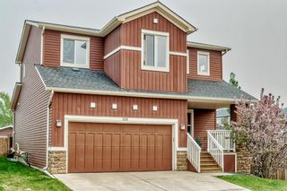 Photo 3: 100 WEST CREEK Green: Chestermere Detached for sale : MLS®# A2050657