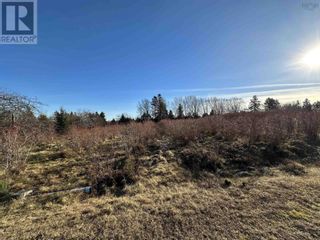 Photo 7: Lot 1 Old 329 Highway in Bayswater: Vacant Land for sale : MLS®# 202325483