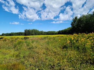 Photo 15: On Range Road 52: Rural Parkland County Commercial Land for sale : MLS®# A1252782