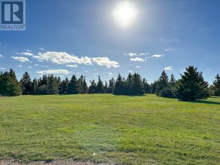 Photo 3: Longview Drive in Cymbria: Vacant Land for sale : MLS®# 202225734