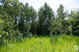 Photo 17: 23246 TWP  RD 521A: Rural Strathcona County Vacant Lot/Land for sale : MLS®# E4384068