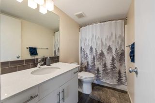 Photo 13: 1410 181 Skyview Ranch Manor NE in Calgary: Skyview Ranch Apartment for sale : MLS®# A2137673