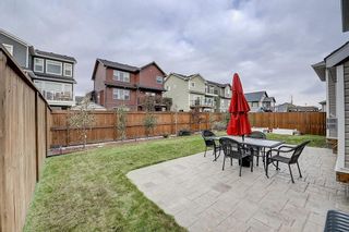 Photo 39: 132 WATERLILY Cove: Chestermere Detached for sale : MLS®# C4306111