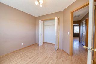 Photo 32: 172 ERIN MEADOW Way SE in Calgary: Erin Woods Detached for sale : MLS®# A1028932