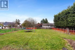 Photo 13: 3145 Balfour Ave in Victoria: Vacant Land for sale : MLS®# 961455
