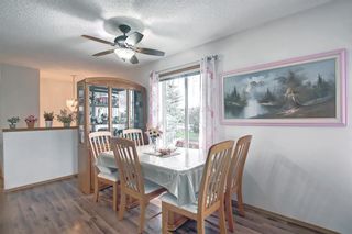 Photo 18: 94 Appleburn Close N in Calgary: Applewood Park Detached for sale : MLS®# A1235940