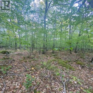 Photo 7: Lot 82 Sparkling Spring Lane in Labelle: Vacant Land for sale : MLS®# 202306324