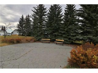 Photo 30: 100 RIVER ROCK CI SE in Calgary: Riverbend House for sale : MLS®# C4088178