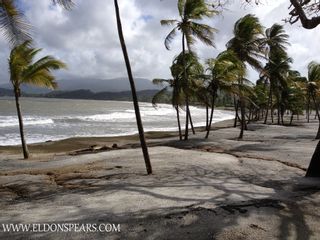 Photo 14: Bala Beach Resort, Colon, Panama