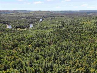 Photo 27: Lot 5 Con 1 in Sault Ste Marie: House (Bungalow) for sale : MLS®# X6711258