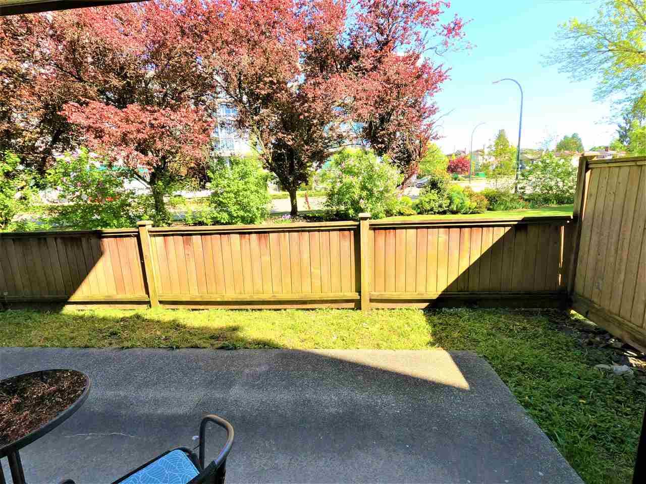 Photo 6: Photos: 103 2299 E 30TH Avenue in Vancouver: Victoria VE Condo for sale in "TWIN COURT" (Vancouver East)  : MLS®# R2576456
