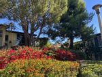 Main Photo: Townhouse for rent : 2 bedrooms : 2406 Altisma Way #G in Carlsbad