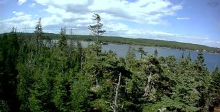 Photo 8: Lot 6 West Liscomb Point Road in West Liscomb: 303-Guysborough County Vacant Land for sale (Highland Region)  : MLS®# 202218956