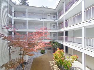 Photo 3: 210 282 Birch St in Campbell River: CR Campbell River Central Condo for sale : MLS®# 902541