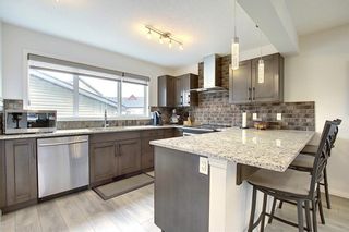 Photo 6: 8 COPPERPOND Avenue SE in Calgary: Copperfield Detached for sale : MLS®# C4296970