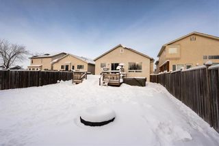 Photo 24: 150 Peter Herner Bay in Winnipeg: Riverbend Residential for sale (4E)  : MLS®# 202401031