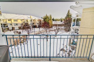 Photo 24: 306 2144 Paliswood Road SW in Calgary: Palliser Apartment for sale : MLS®# A1187482