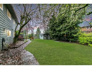 Photo 7: 11685 193 Street in Pitt Meadows: South Meadows House for sale : MLS®# R2817402