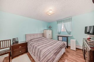 Photo 20: 118 20 Dover Point SE in Calgary: Dover Apartment for sale : MLS®# A2124249