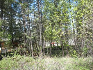Photo 9: 4981 FALCON DRIVE in Fairmont Hot Springs: Vacant Land for sale : MLS®# 2469200