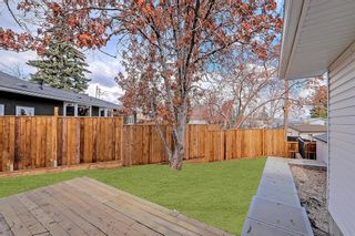 Photo 46: 200 Westview Drive SW in Calgary: Westgate Detached for sale : MLS®# A2040453