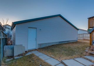 Photo 31: 203 APPLEBROOK Circle SE in Calgary: Applewood Park Detached for sale : MLS®# A1198432