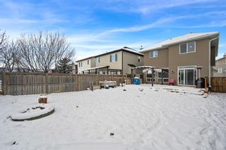 Photo 36: 8 Evansdale Way NW in Calgary: Evanston Detached for sale : MLS®# A2022181