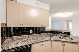 Photo 8: 3413 1620 70 Street SE in Calgary: Applewood Park Apartment for sale : MLS®# A1258533