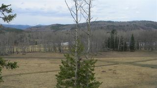 Photo 8: Corner of 178 Ave & 320 St W: Rural Foothills County Residential Land for sale : MLS®# A1231281