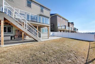 Photo 46: 231 LAKEPOINTE Drive: Chestermere Detached for sale : MLS®# A1080969