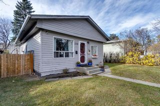 Photo 44: 2719 16A Street SE in Calgary: Inglewood Detached for sale : MLS®# A1156165