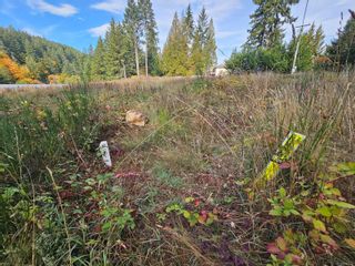 Main Photo: Lt 1 Princess Ave in Cobble Hill: ML Cobble Hill Land for sale (Malahat & Area)  : MLS®# 946033