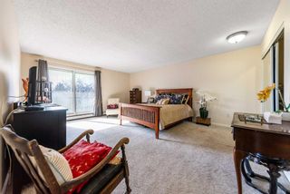 Photo 17: 301 305 25 Avenue SW in Calgary: Mission Apartment for sale : MLS®# A2109893