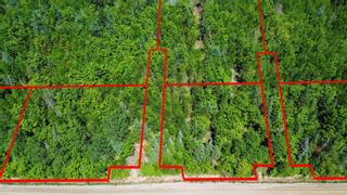 Photo 10: Lot 10 Old Renfrew Road in Upper Rawdon: 105-East Hants/Colchester West Vacant Land for sale (Halifax-Dartmouth)  : MLS®# 202306247